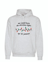 Load image into Gallery viewer, We Could Leave The Lights Up- Adult Hoodie

