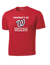 Load image into Gallery viewer, Men's Kentville Baseball Performance T-Shirt

